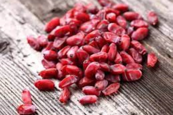 تصویر 3 از خرید و قیمت زرشک دانه اناری اعلا + فروش صادراتی